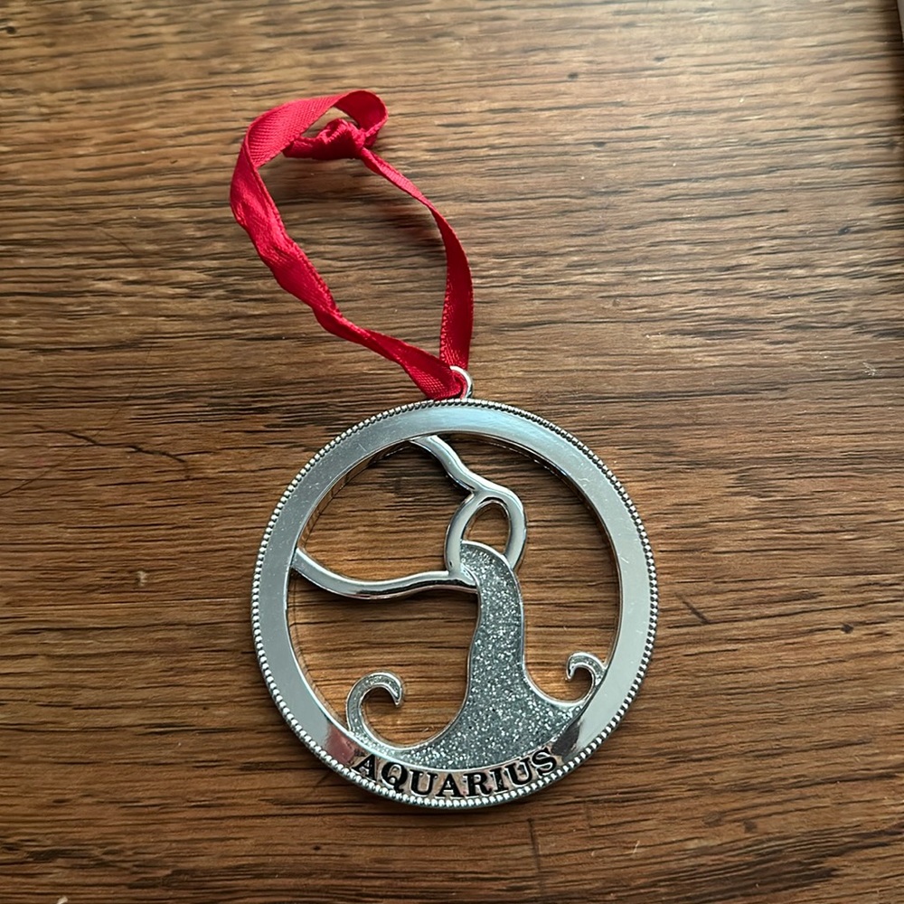 Aquarius ♒️ ornament